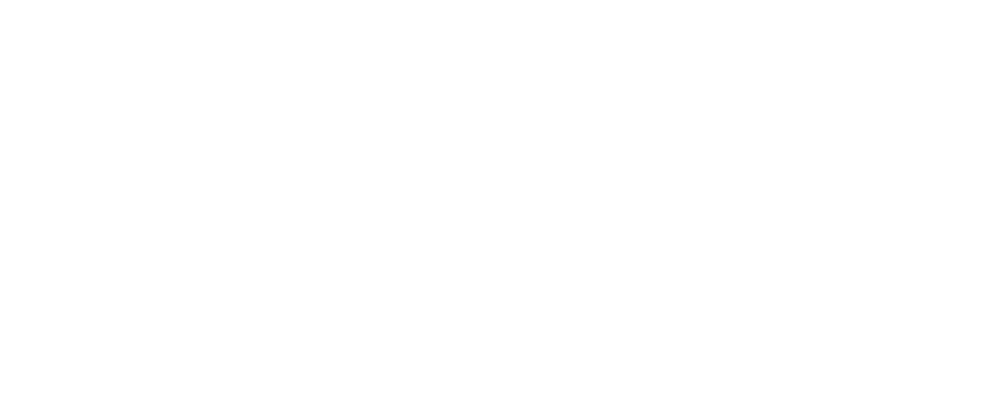Bora Marken Logo • JOPPE Exklusive Küchen